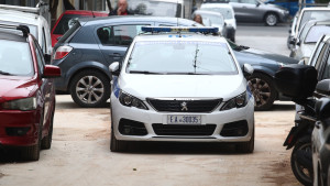 Συνελήφθη 21χρονη για εμπρησμό από πρόθεση στον Βρανά Μαραθώνα