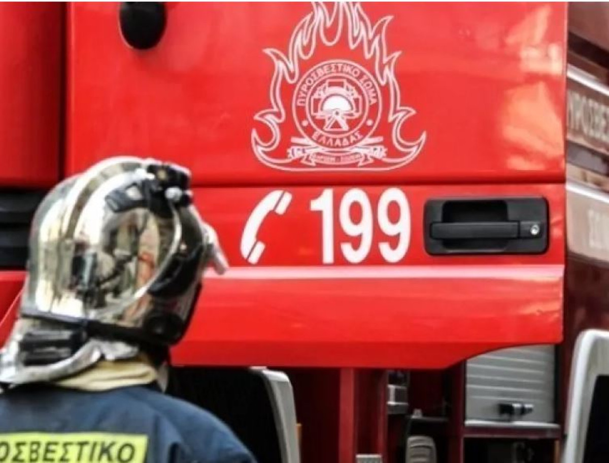 Πυρκαγιά στη Σαλαμίνα - Μεγάλη επιχείρηση της Πυροσβεστικής