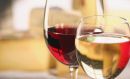 Ο παραλογισμός του ΕΦΚ στο κρασί φέρνει «τρύπα» δεκάδων εκατομμυρίων