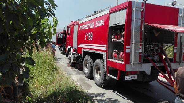 Πυρκαγιά σε δασική έκταση στην Ηλεία