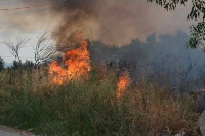Πυρκαγιά στην Κερατέα- Μεγάλη κινητοποίηση (video)