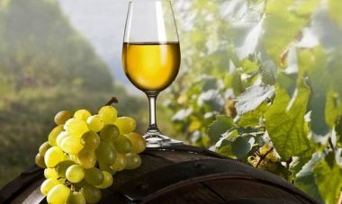 Όλο και περισσότερο ελληνικό κρασί στα ποτήρια των Ιαπώνων