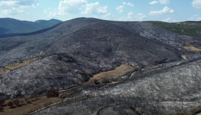 Φωτιά στον Έβρο: Drone αποτυπώνει το μέγεθος της καταστροφής