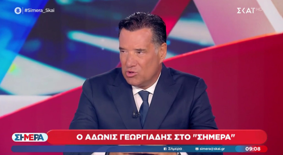 Γεωργιάδης: «Παλιόπαιδο» ο Τσίπρας - «Δεν τραβάει» ο Ανδρουλάκης