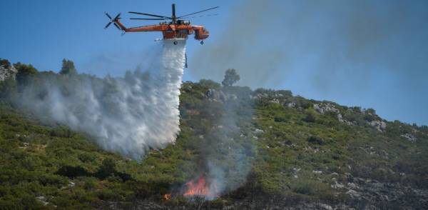 Δήμαρχος Μάνδρας-Πυρκαγιά στα Βίλια: Υπάρχουν ενδείξεις για εμπρησμό