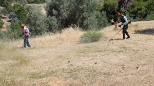 Ακαθάριστα οικόπεδα: Σε ισχύ το νέο αυστηρό πλαίσιο - Οι υπόχρεοι, οι εξαιρέσεις και οι ημερομηνίες