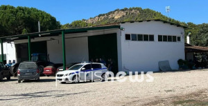 Ηλεία: Νεκρός επιχειρηματίας με τραύμα στο κεφάλι- Έρευνες της ΕΛΑΣ