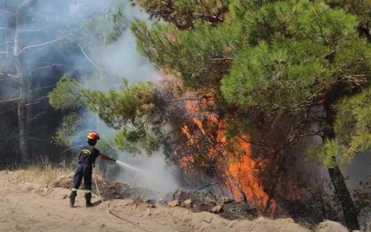 Μια σύλληψη για εμπρησμό από αμέλεια στον Λαγκαδά Θεσσαλονίκης