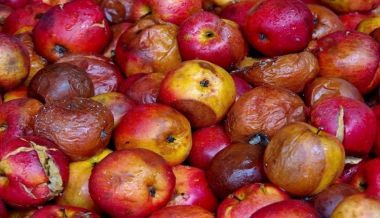 Αττική: Δεσμεύτηκαν πάνω από 2 τόνοι ακατάλληλων φρούτων