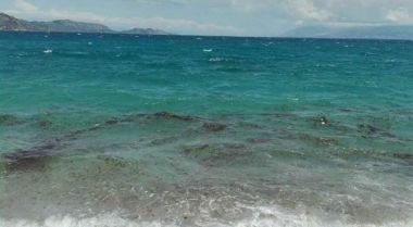 Αίτημα για στήριξη επιχειρήσεων λόγω του υπερπληθυσμού μεδουσών στον Κορινθιακό
