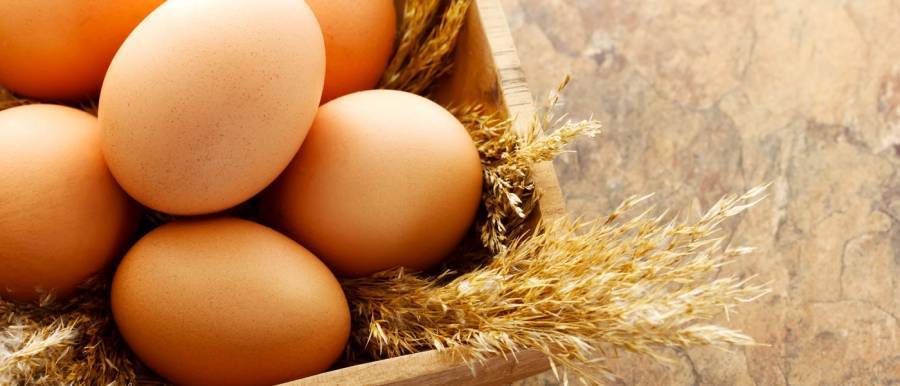 Συστήνεται η Εθνική Διεπαγγελματική Οργάνωση Αυγού