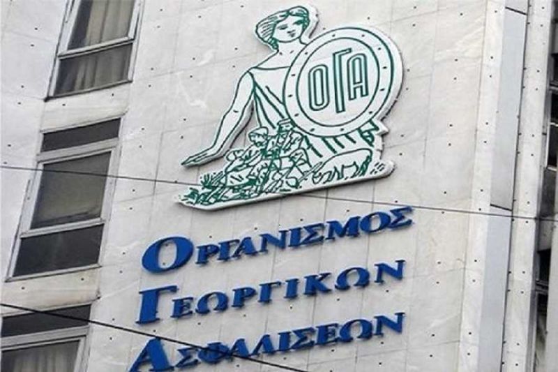 Νέος διοικητής του ΟΓΑ ο Στυλιανός Πλιάκης