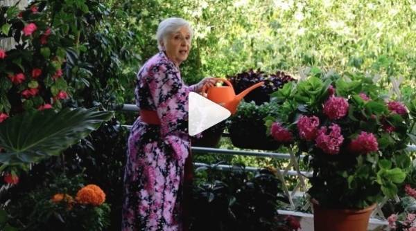Η κυρία Έφη αποστομώνει (ξανά) τον Γιώργο Καπουτζίδη