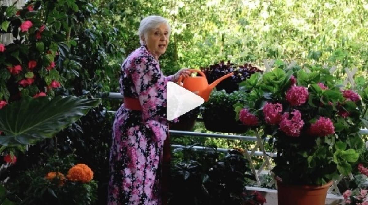 Η κυρία Έφη αποστομώνει (ξανά) τον Γιώργο Καπουτζίδη