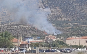 Σε εξέλιξη πυρκαγιά στην Πλύτρα Λακωνίας – Επιχειρούν επίγεια και εναέρια μέσα
