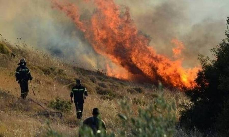 Πάτρα: Συνελήφθη 23χρονος για τη φωτιά στη Δυτική Αχαΐα