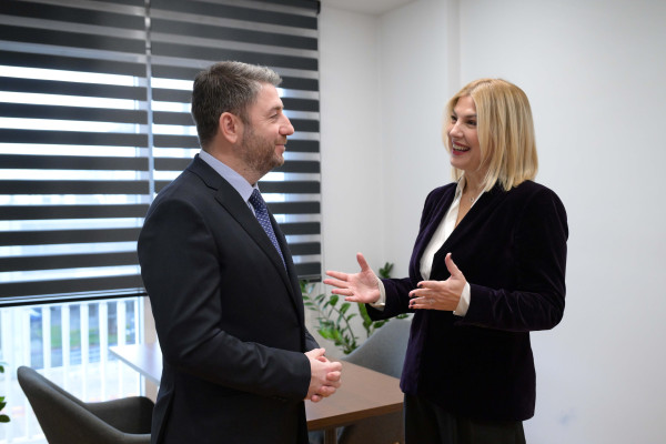 Ο Ανδρουλάκης ανακοίνωσε τη... μεταγραφή της Θρασκιά στο ΠΑΣΟΚ