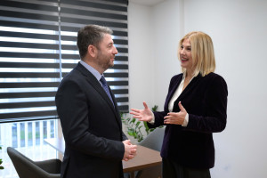 Ο Ανδρουλάκης ανακοίνωσε τη... μεταγραφή της Θρασκιά στο ΠΑΣΟΚ