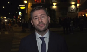 Ανδρουλάκης: Εθνικό χρέος να αγκαλιάσουμε τις αγωνίες των ομογενών