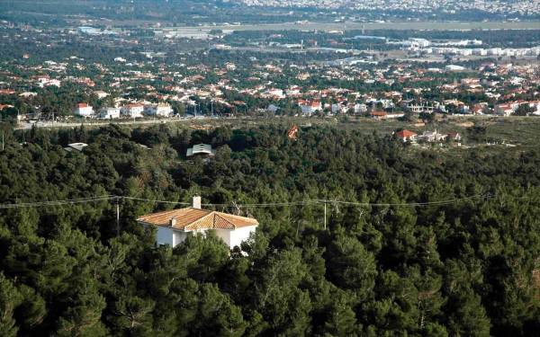 Σε λειτουργία η πλατφόρμα δήλωσης των αυθαιρέτων στα δάση