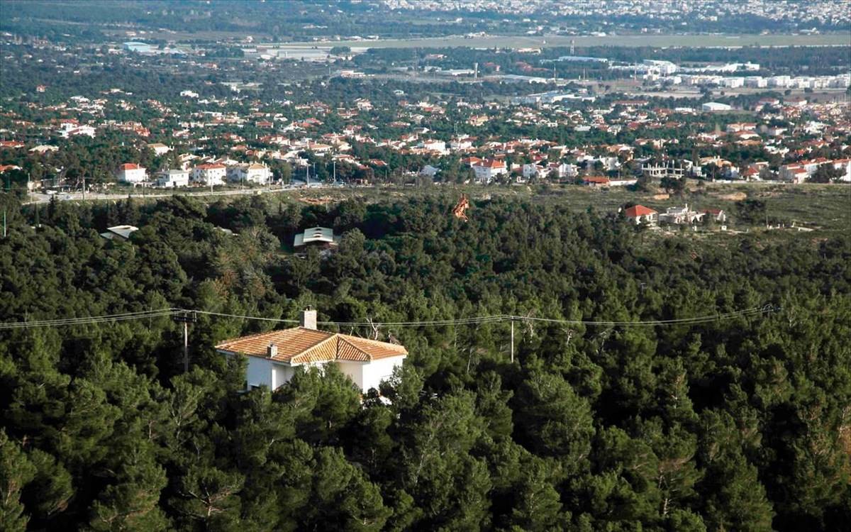 Σε λειτουργία η πλατφόρμα δήλωσης των αυθαιρέτων στα δάση