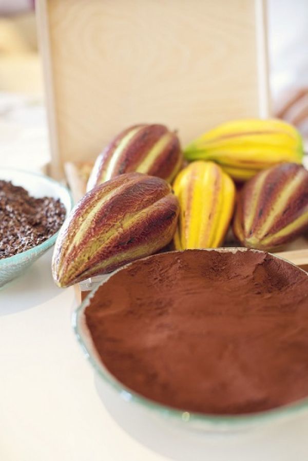 "Chocolat mon amour" στο Astir Palace- Δείτε τους ΝΙΚΗΤΕΣ του διαγωνισμού
