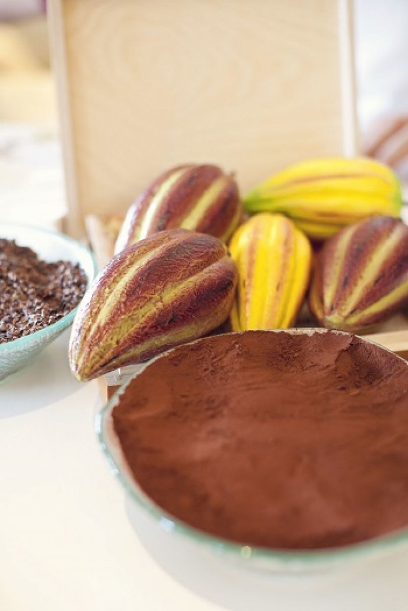 "Chocolat mon amour" στο Astir Palace- Δείτε τους ΝΙΚΗΤΕΣ του διαγωνισμού