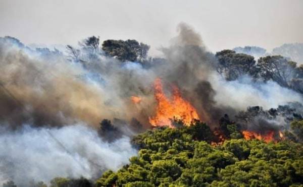 Μεγάλη πυρκαγιά στο Σουφλί-Εκκενώθηκε ο οικισμός της Λευκίμμης