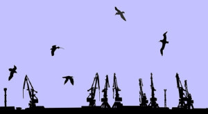 Συντονισμένες δράσεις κατά του παράνομου εμπορίου άγριων πτηνών