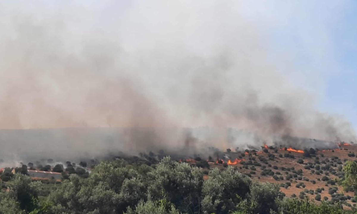 Πολύ υψηλός κίνδυνος πυρκαγιάς τη Δευτέρα – Η προειδοποίηση της Πολιτικής Προστασίας