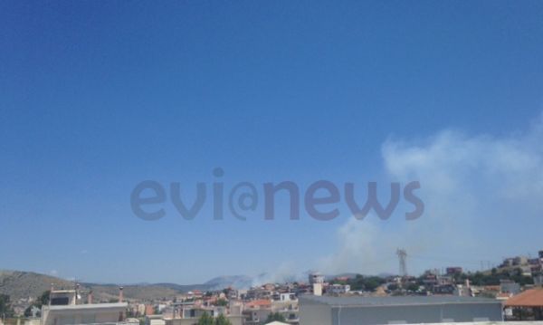 Χαλκίδα: Σε ύφεση η πυρκαγιά - Εκκενώθηκε οικισμός