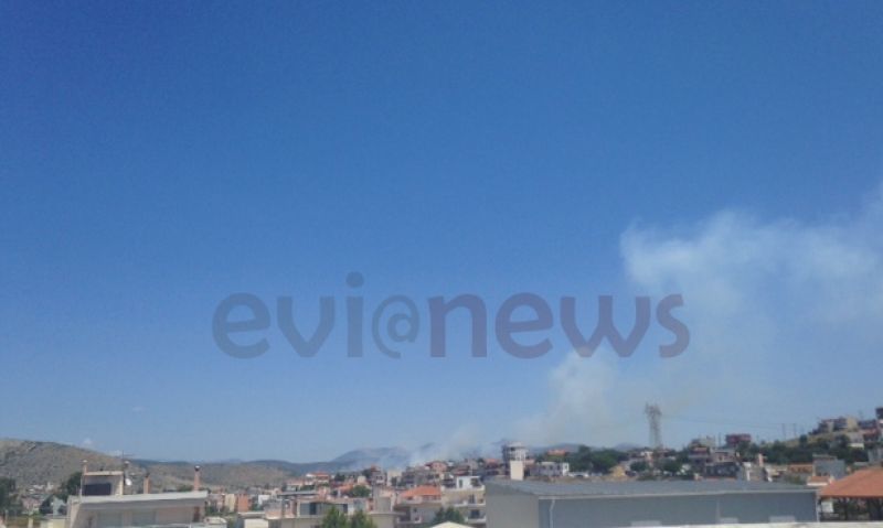 Χαλκίδα: Σε ύφεση η πυρκαγιά - Εκκενώθηκε οικισμός
