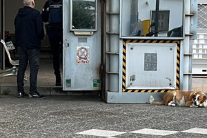 ΕΔΕ για τη δολοφονία της 28χρονης έξω από το ΑΤ