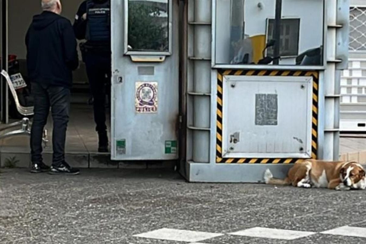 ΕΔΕ για τη δολοφονία της 28χρονης έξω από το ΑΤ