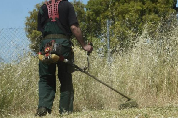 Δήμος Αθηναίων: Παράταση για τη δήλωση καθαρισμού οικοπέδων έως 15 Ιουνίου