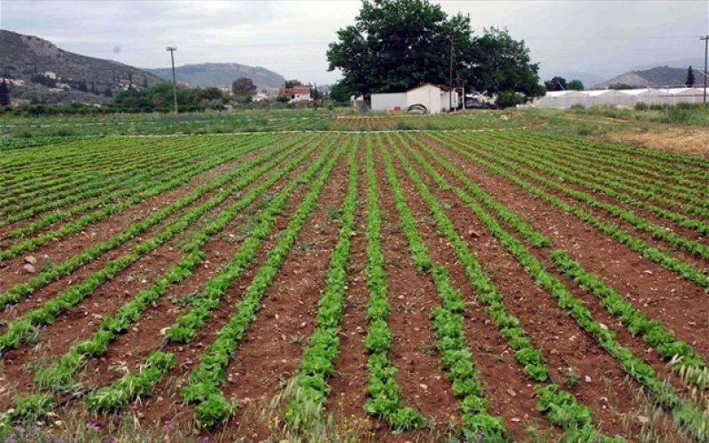ΕΝΦΙΑ: Έκκαθαριστικά «φωτιά» για τα αγροτεμάχια-Όλες οι αλλαγές στα ακίνητα