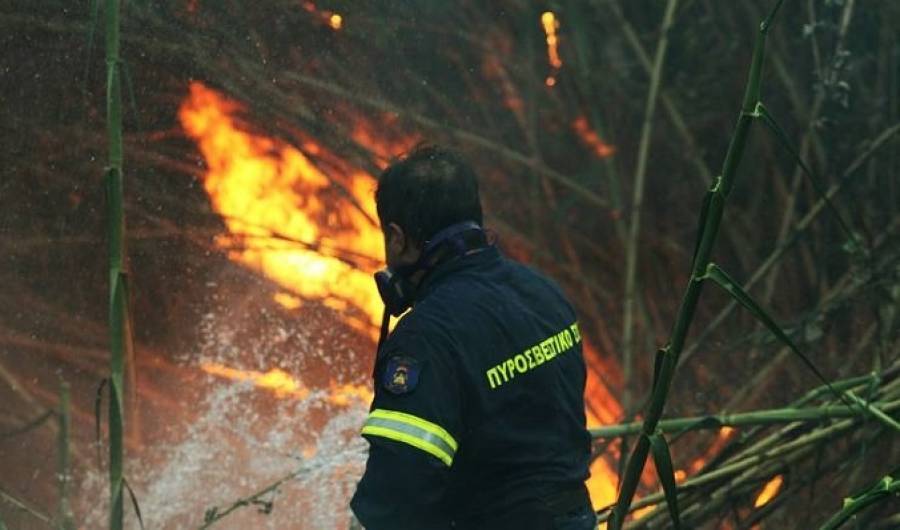 Αλόννησος: 110 στρέμματα στρέμματα δάσους ο απολογισμός της πυρκαγιάς