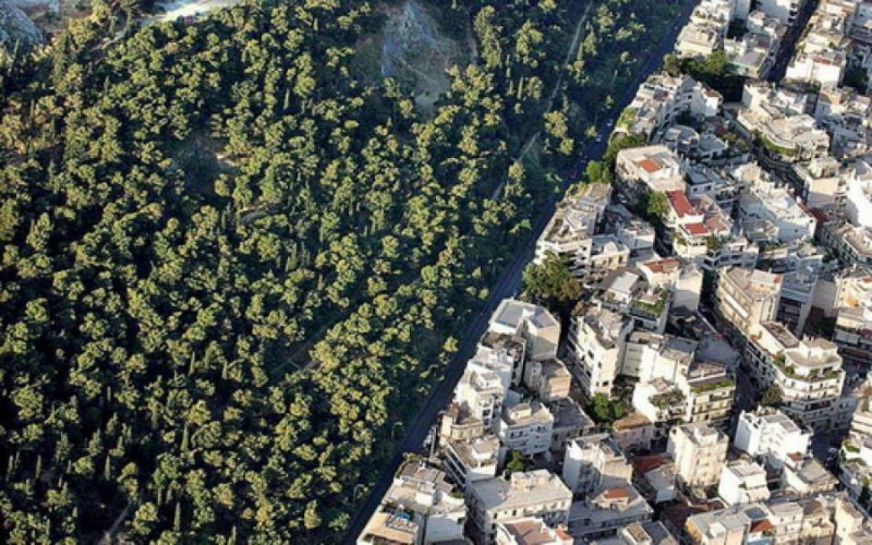 Δασικοί χάρτες: Έως τις 25 Σεπτεμβρίου η προθεσμία υποβολής αντιρρήσεων