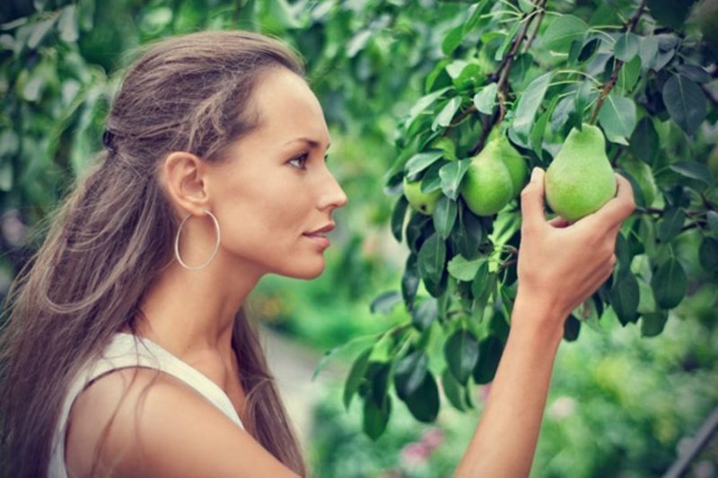 Ενυδατωθείτε με αχλάδι - Τι πιο εύκολο και... νόστιμο!