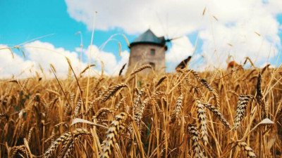 Ουκρανία: Αυξήθηκαν 80% οι εξαγωγές αγροτικών προϊόντων τον Μάιο
