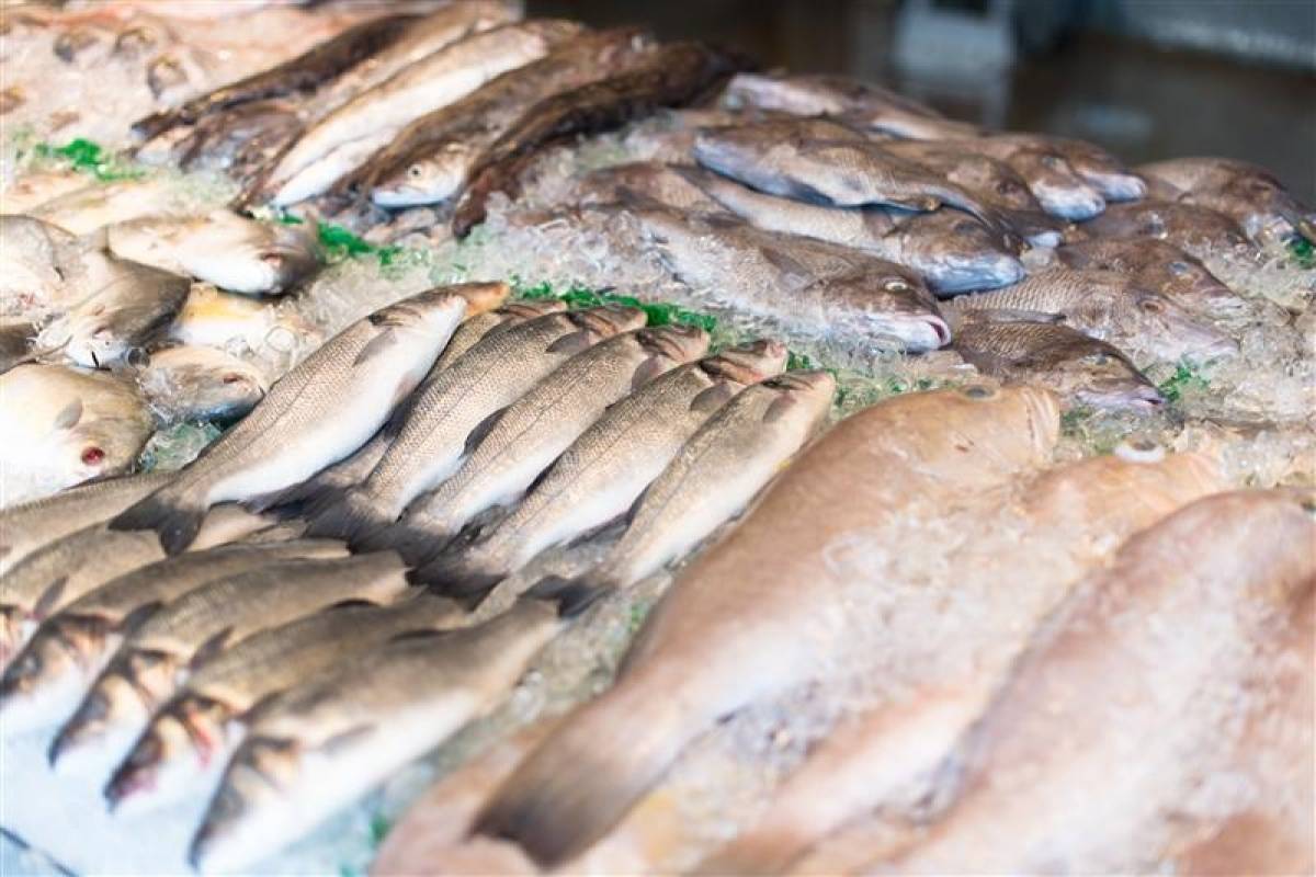 Στο στόχαστρο της Οικονομικής Αστυνομίας επιχειρήσεις εμπορίας ψαριών