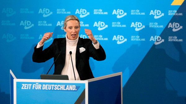 Γερμανία: Σταθερό προβάδισμα του AfD σε δύο νέες δημοσκοπήσεις