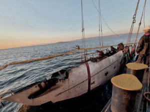 Ρυμουλκά: Ο κρίσιμος εθνικός ρόλος ενός άγνωστου κλάδου-Επενδύσεις €200 εκατ.