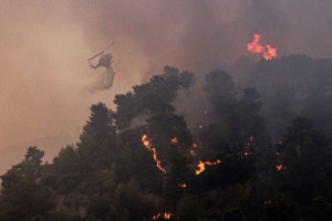 Βόλος: Έως 11 Σεπτεμβρίου οι αιτήσεις αποζημίωσης των πυρόπληκτων