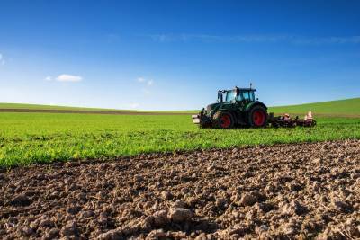 Πτώση 2,6% του δείκτη τιμών εκροών στη γεωργία-κτηνοτροφία
