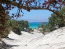 Το μοντέλο «Γαϊδουρονήσι» απειλή για τον τουρισμό