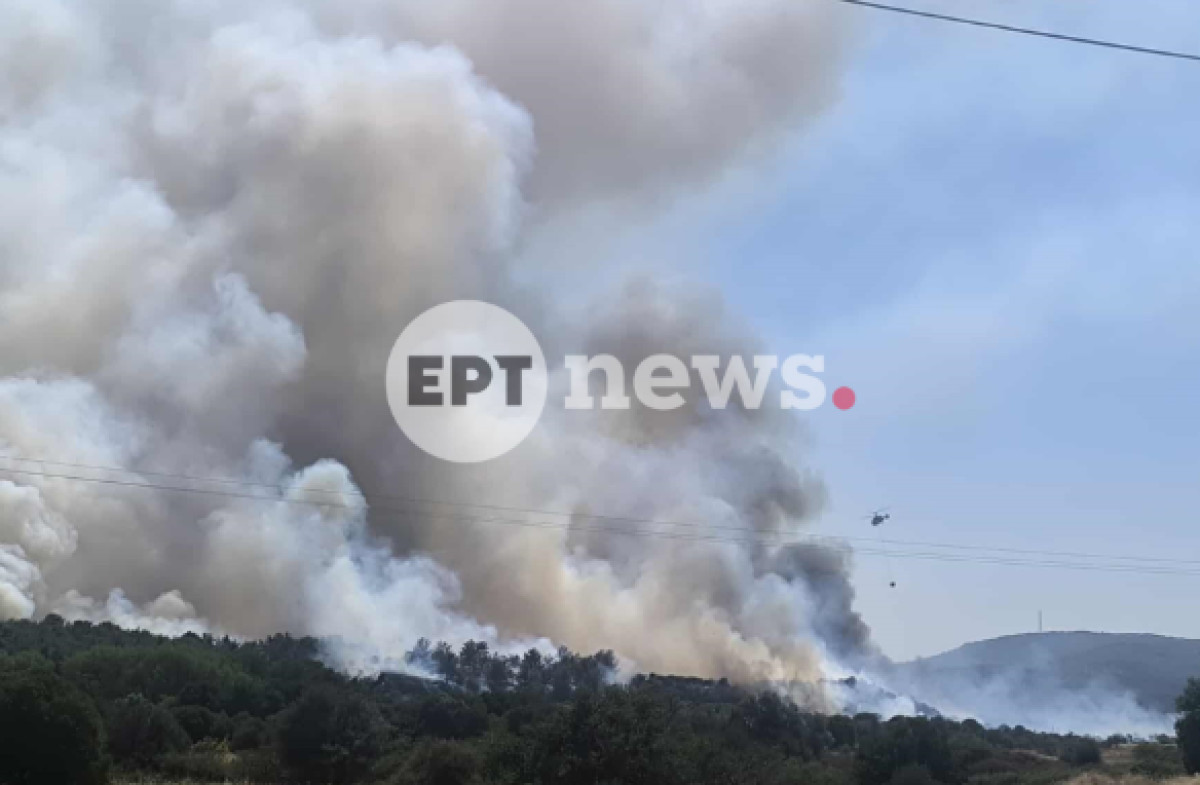 Φωτιά σε αγροτοδασική έκταση στη Βρίσα Λέσβου - Ήχησε το 112