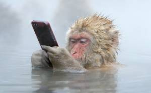 Τα smartphones απειλούν τον αυχένα