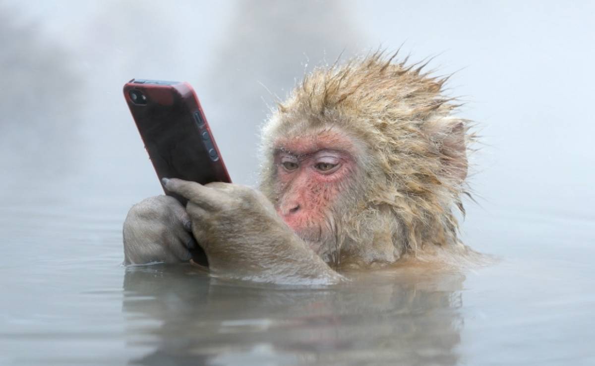 Τα smartphones απειλούν τον αυχένα
