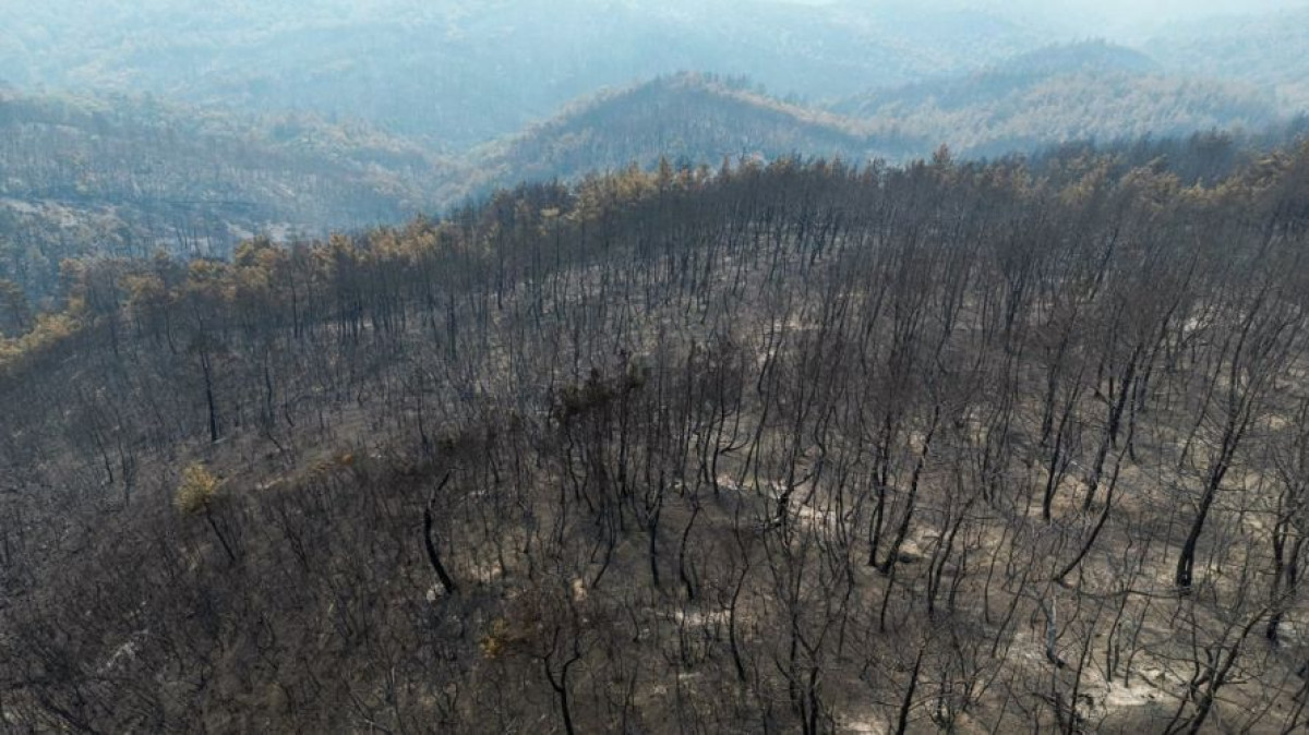 Τέλος Σεπτεμβρίου το master plan για την ανασυγκρότηση του Έβρου